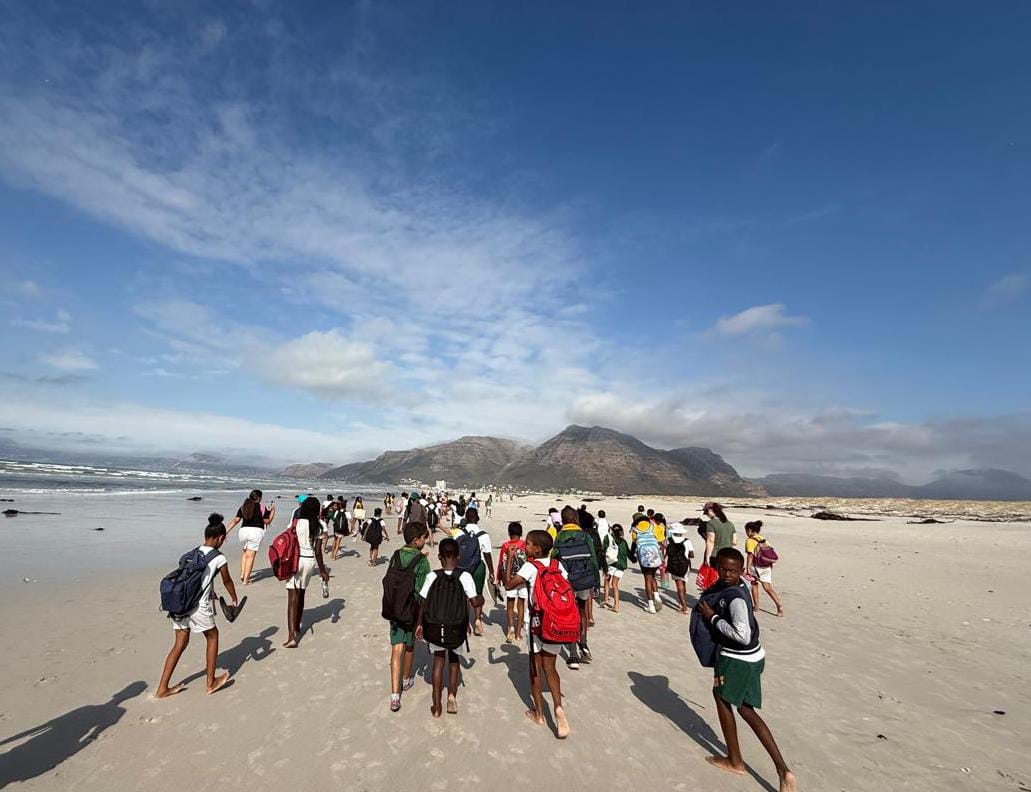 Surf Walk 2025